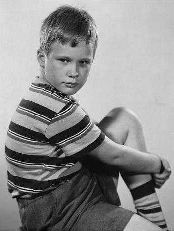 brandon wilde child dewilde actor boyactors actors death 1972 1942 young atores jovens star children stars filmography found wikipedia film