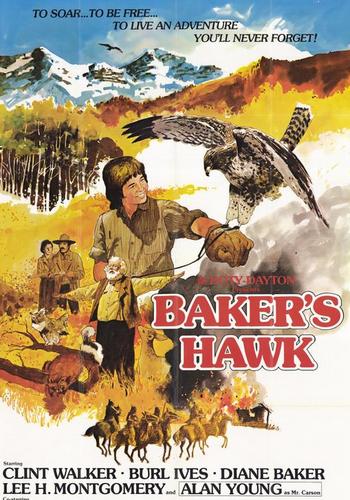 Picture for Baker's Hawk