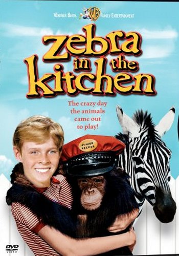 Picture for Zebra in the Kitchen