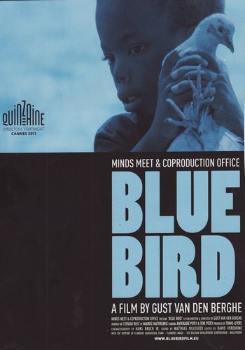 Picture for Blue Bird
