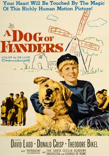Picture for A Dog of Flanders