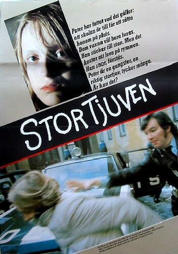 Picture for Stortjuven
