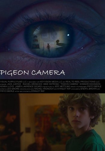 Picture for Pigeon Camera