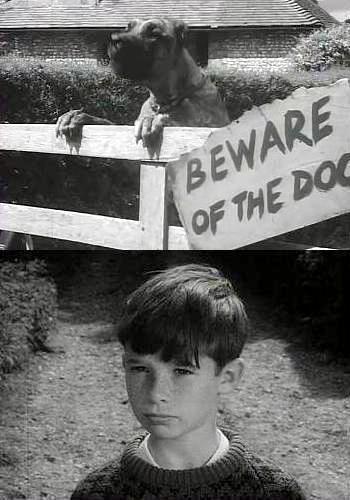Picture for Beware of the Dog