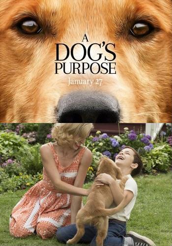 Picture for A Dog's Purpose