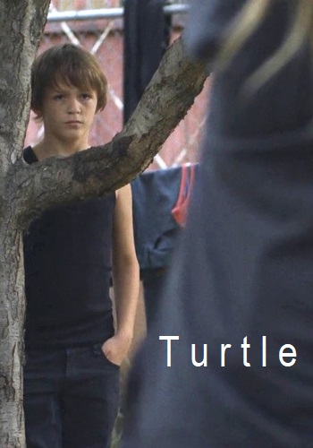 Picture for Turtle