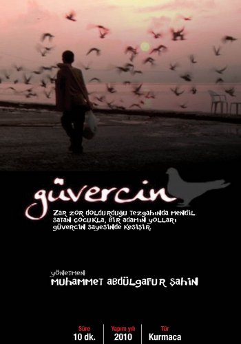 Picture for Güvercin