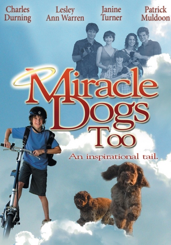 Picture for Miracle Dogs Too