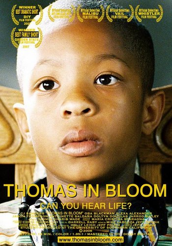 Picture for Thomas in Bloom