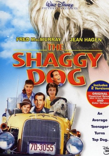Picture for The Shaggy Dog