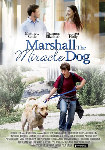 Picture for Marshall the Miracle Dog