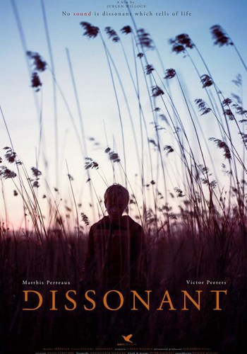 Picture for Dissonant