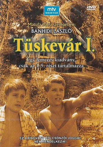 Picture for Tüskevár