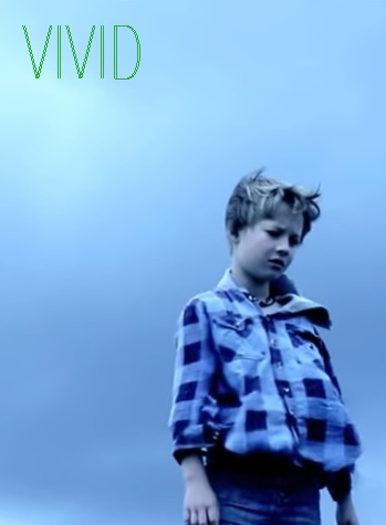 Picture for Vivid