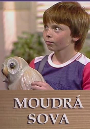 Picture for Moudrá sova