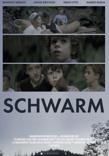 Picture for Schwarm