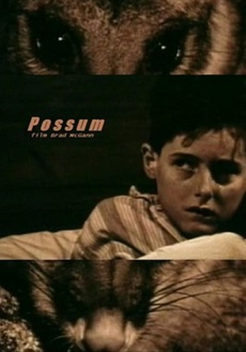 Picture for Possum