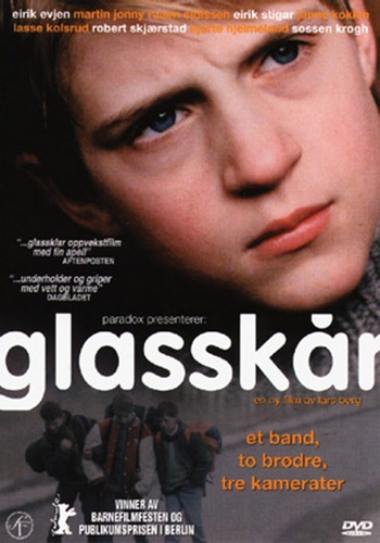 Picture for Glasskår