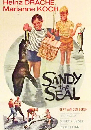 Picture for Sandy the Seal