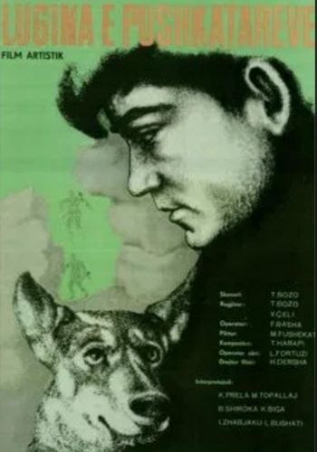 Picture for Lugina e pushkatar&euml;ve